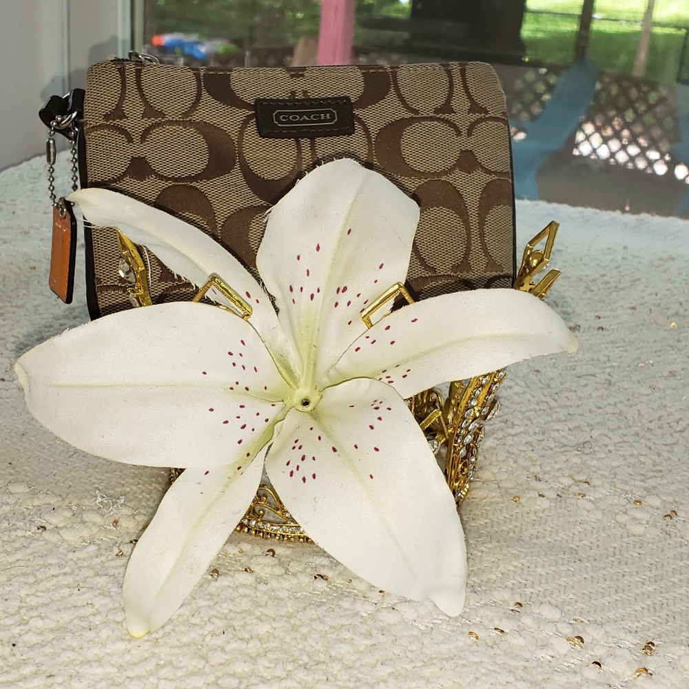 Small wristlet
